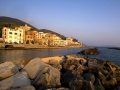 Pisciotta