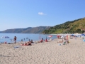 Pisciotta