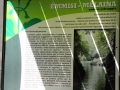 Forra dell'Emmisi