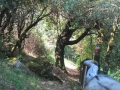 Monte Stella