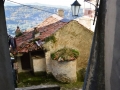 Novi Velia