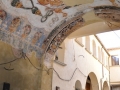 Novi Velia