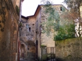 Novi Velia