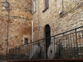 Ortodonico