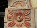 Ortodonico